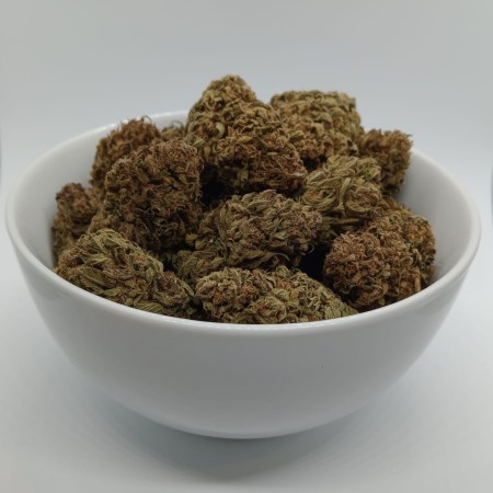 NORTHWEST Big Buds