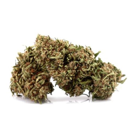 Fleurs naturelles bio goliath cbd 9% vrac