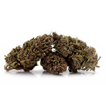 Fleurs naturelles bio purple cbd 8%  vrac