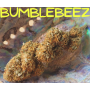 bumblebeez 6%CBD bio