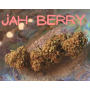 duo white widow cbg 10% bio + jah berry cbd 5% bio