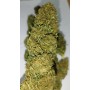 Fleurs CBD Big Bud Manucuré Main