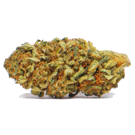 Fleurs - ORANGE BUD CBD - Outdoor