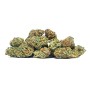 Fleurs gros volume - ORANGE BUD CBD - Outdoor