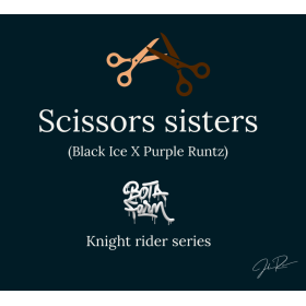 Scissors Sisters. FEM Scissors Sisters. FEM