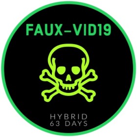 Faux-vid19.FEM Faux-vid19.FEM