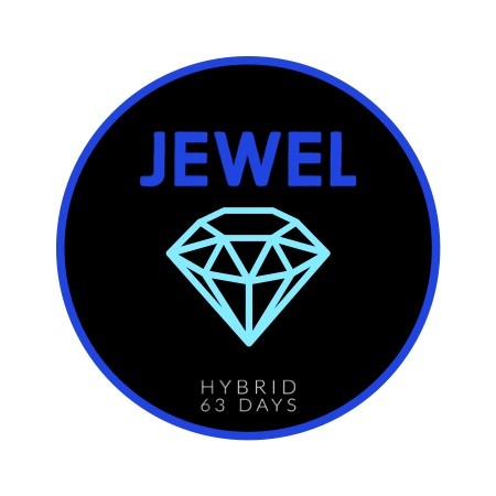 Jewel.FEM