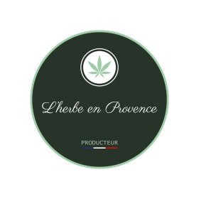 OG Kush Greenhouse OG Kush Greenhouse