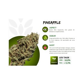 Pineapple CBD