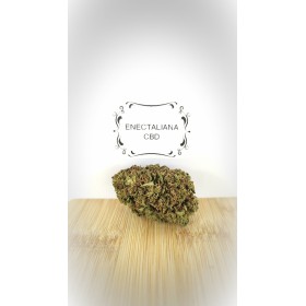 Fleur CBD Enectaliana Fleur CBD Enectaliana