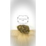 Fleur CBD Enectaliana