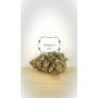 Fleur CBG Serenity