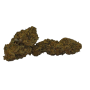 Lemon Haze
