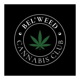 Lemon Haze Lemon Haze