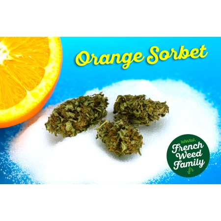 FLEUR DE CBD ORANGE SORBET BIO