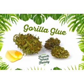 FLEUR DE CBD GORILLA GLUE BIO FLEUR DE CBD GORILLA GLUE BIO