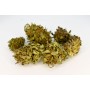 FLEUR DE CBD GORILLA GLUE BIO