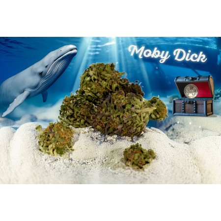 FLEUR DE CBD MOBY DICK BIO