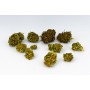 FLEUR DE CBD MOBY DICK BIO