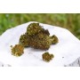 FLEUR DE CBD MOBY DICK BIO