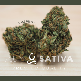  Fleurs de CBD PINK PINEAPPLE