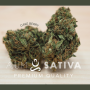  Fleurs de CBD PINK PINEAPPLE