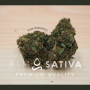  Fleurs de CBD PINK PINEAPPLE