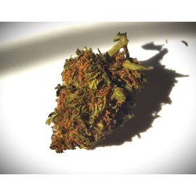 Fleurs bio de Peach Goliath