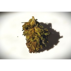 Fleurs bio de Frosted lime