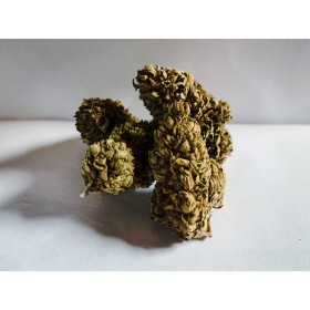 Fruit Cake CBG Fruit Cake CBG