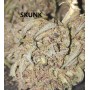 Skunk 9% CBD