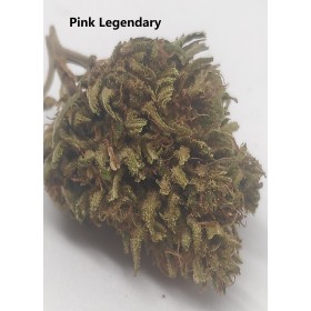 Pink Legendary Green House Pink Legendary Green House