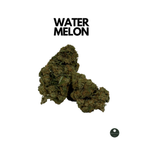 Water Melon Greenhouse Water Melon Greenhouse