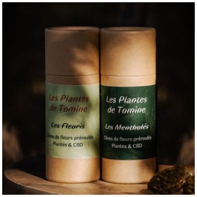 Pré-rolls CBD et plantes médicinales Pré-rolls CBD et plantes médicinales