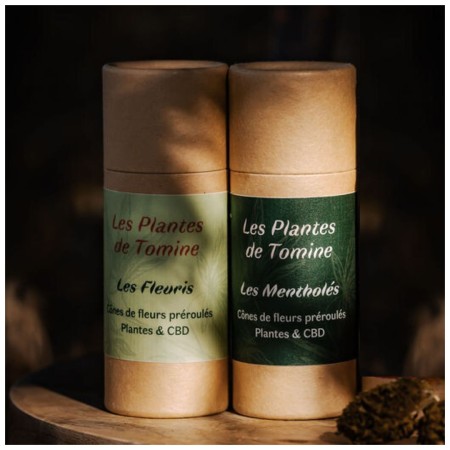 Pré-rolls CBD et plantes médicinales