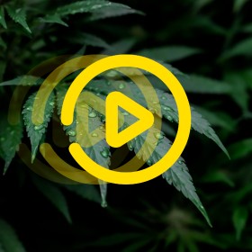 Motion Design Motion Design