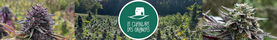 Le Chanvre des Granges