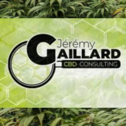 Jérémy Gaillard