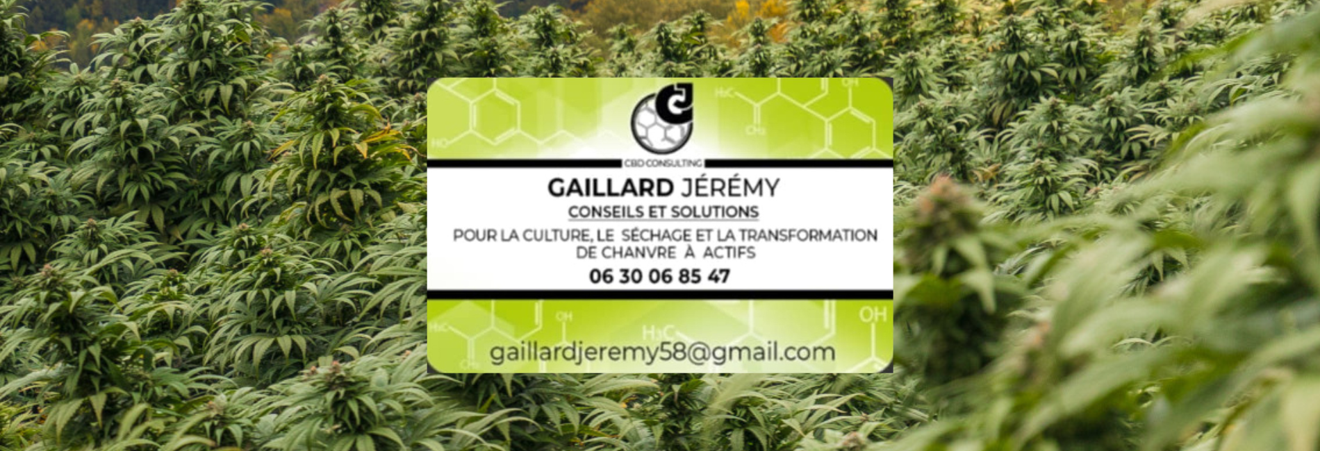 Jérémy Gaillard 